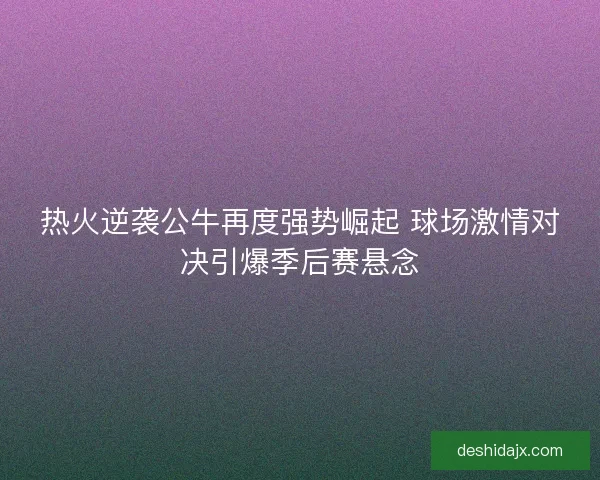 热火逆袭公牛再度强势崛起 球场激情对决引爆季后赛悬念